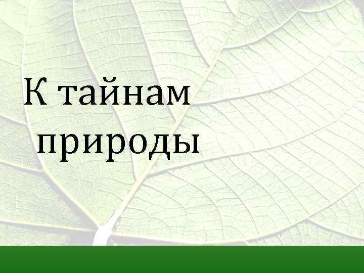 К тайнам природы 