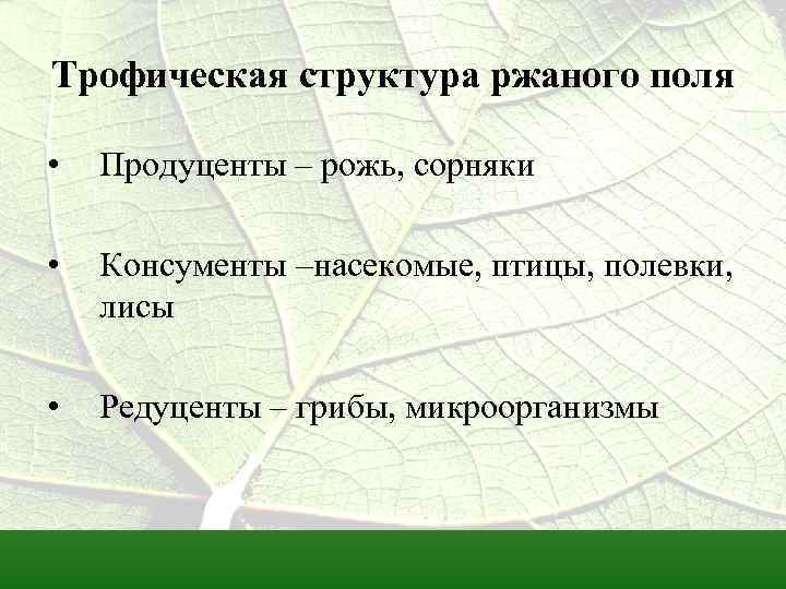 Консументы пшеничного поля. Продуценты поля. Продуценты картофельного поля. Поле продуценты консументы редуценты. Консументы 1 порядка пшеничного поля.