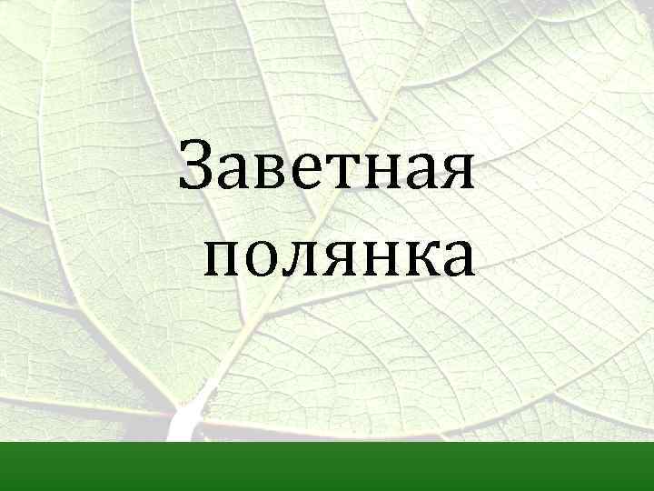 Заветная полянка 