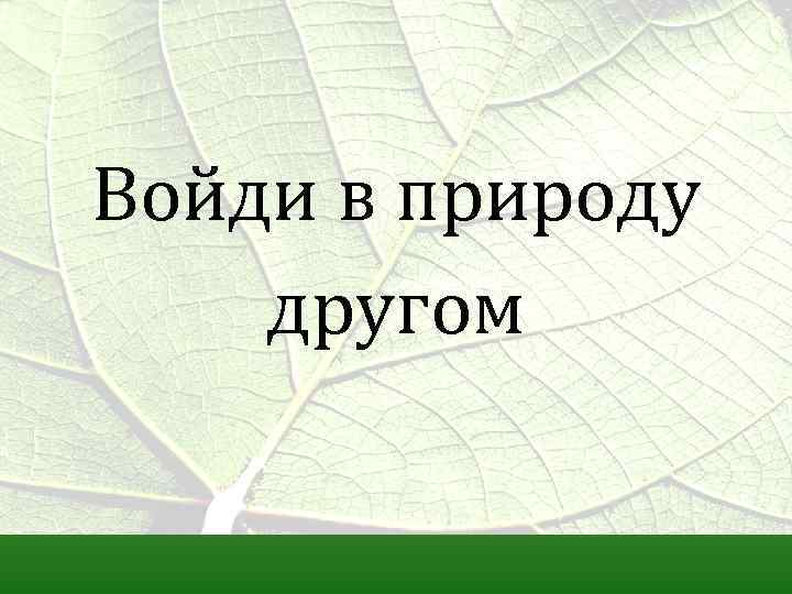 Войди в природу другом 