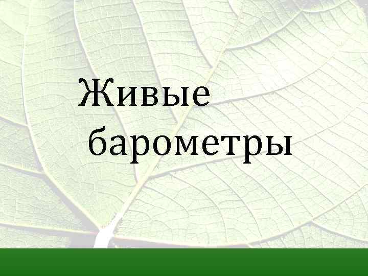 Живые барометры 