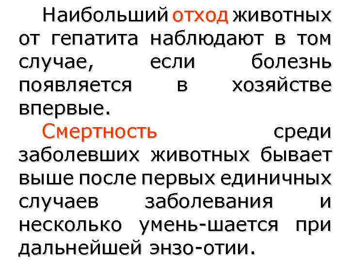Наибольший отход животных от гепатита наблюдают в том случае, если болезнь появляется в хозяйстве