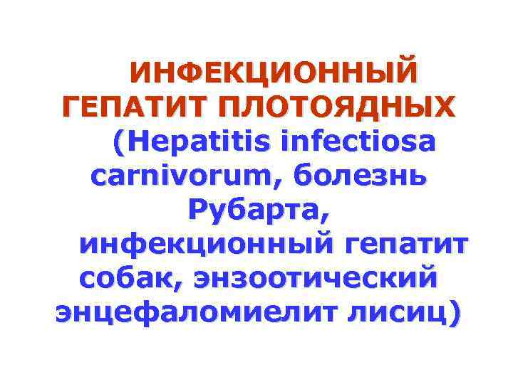 ИНФЕКЦИОННЫЙ ГЕПАТИТ ПЛОТОЯДНЫХ (Hepatitis infectiosa carnivorum, болезнь Рубарта, инфекционный гепатит собак, энзоотический энцефаломиелит лисиц)