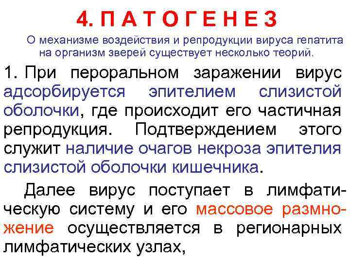 4. П А Т О Г Е Н Е З О механизме воздействия и