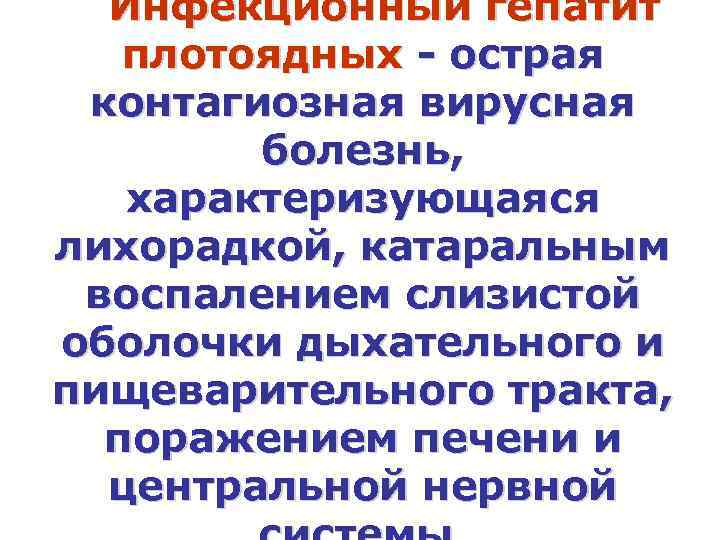 Инфекционный гепатит плотоядных - острая контагиозная вирусная болезнь, характеризующаяся лихорадкой, катаральным воспалением слизистой оболочки