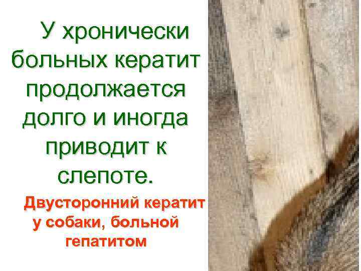 У хронически больных кератит продолжается долго и иногда приводит к слепоте. Двусторонний кератит у