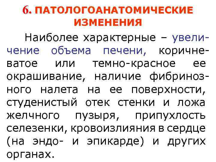 6. ПАТОЛОГОАНАТОМИЧЕСКИЕ ИЗМЕНЕНИЯ Наиболее характерные – увеличение объема печени, коричневатое или темно-красное ее окрашивание,
