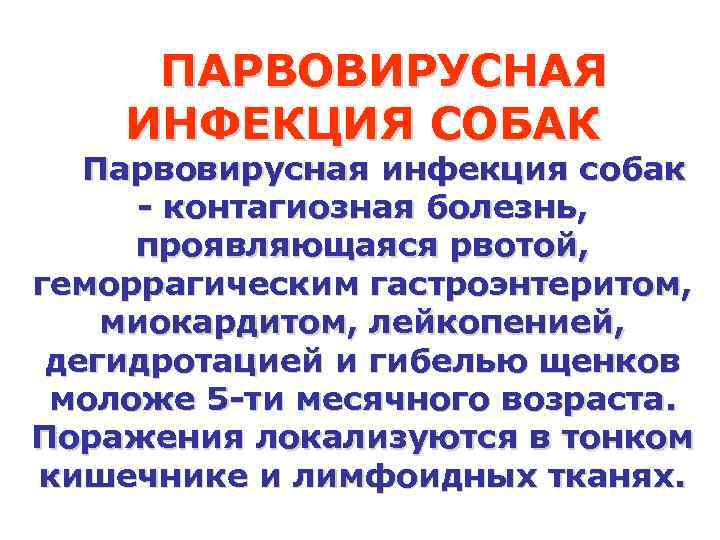 ПАРВОВИРУСНАЯ ИНФЕКЦИЯ СОБАК Парвовирусная инфекция собак - контагиозная болезнь, проявляющаяся рвотой, геморрагическим гастроэнтеритом, миокардитом,