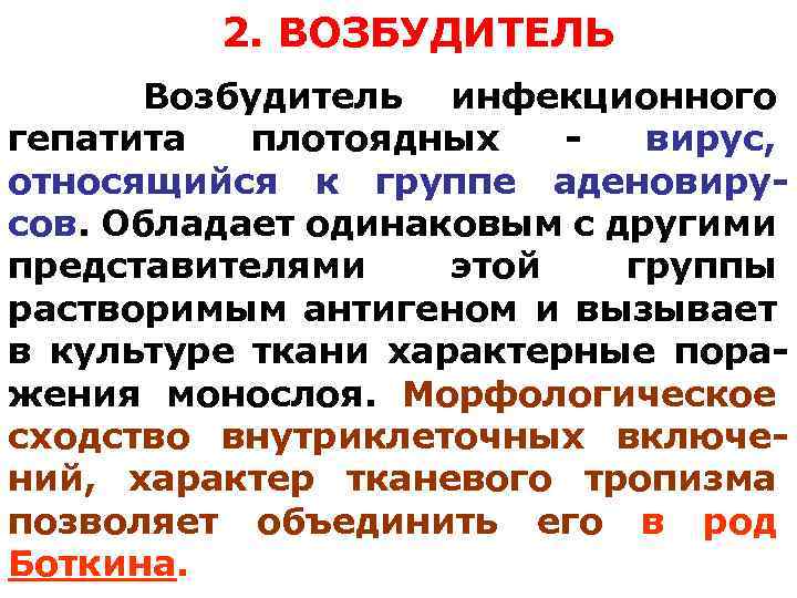 2. ВОЗБУДИТЕЛЬ Возбудитель инфекционного гепатита плотоядных вирус, относящийся к группе аденовирусов. Обладает одинаковым с