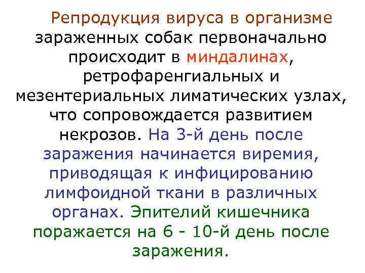 Репродукция вируса в организме зараженных собак первоначально происходит в миндалинах, ретрофаренгиальных и мезентериальных лиматических