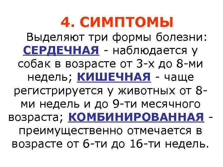 4. СИМПТОМЫ Выделяют три формы болезни: СЕРДЕЧНАЯ - наблюдается у собак в возрасте от