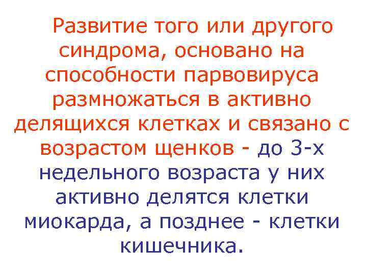 Развитие того или другого синдрома, основано на способности парвовируса размножаться в активно делящихся клетках