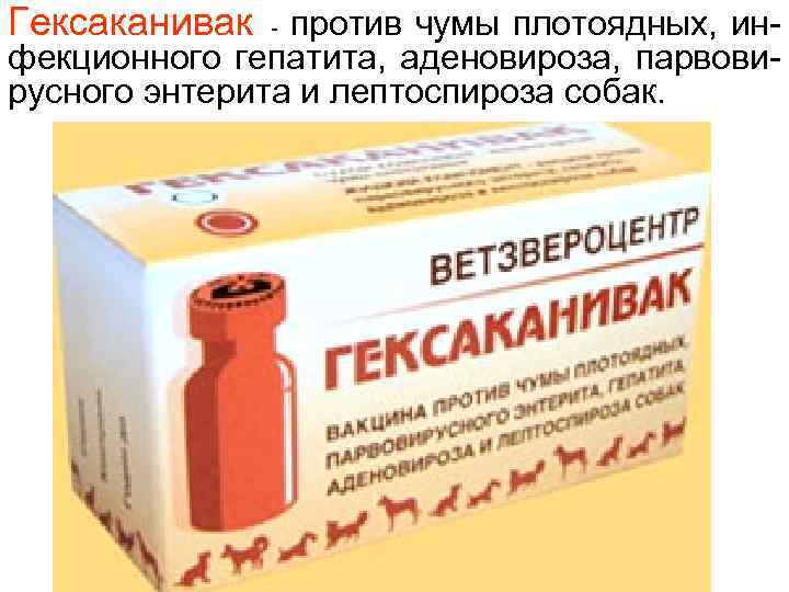 Гексаканивак - против чумы плотоядных, инфекционного гепатита, аденовироза, парвовирусного энтерита и лептоспироза собак. 