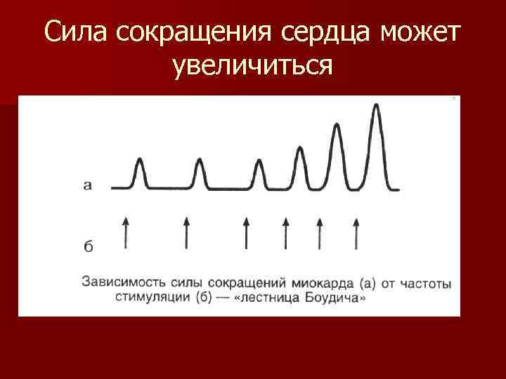 Сила сокращения сердца может увеличиться 