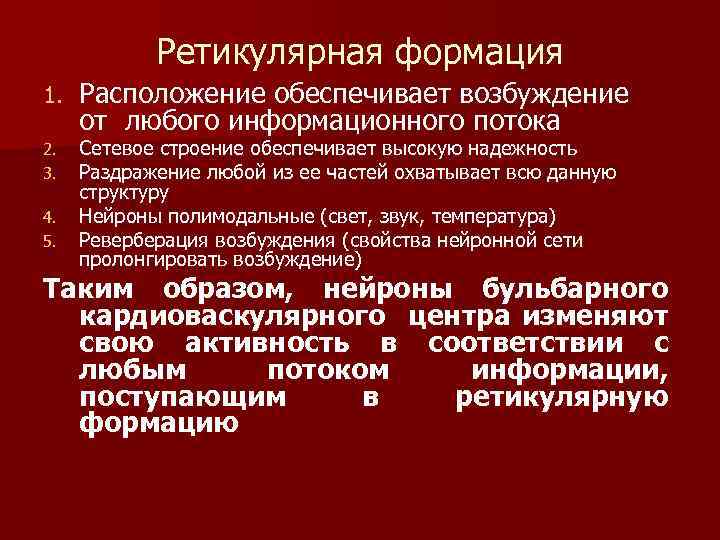  Ретикулярная формация 1. Расположение обеспечивает возбуждение от любого информационного потока 2. Сетевое строение