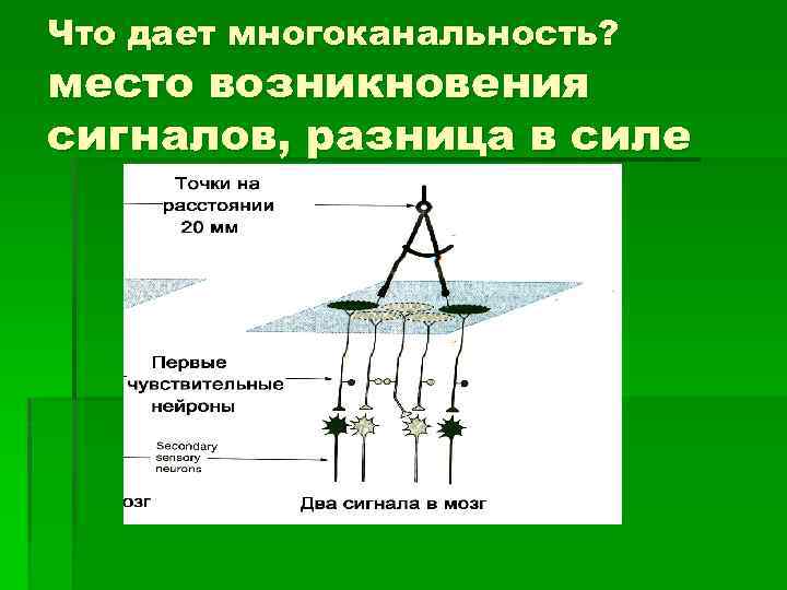 Что дает многоканальность? место возникновения сигналов, разница в силе 
