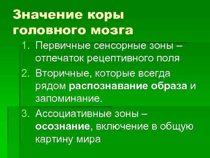 Значение коры головного мозга 1. Первичные сенсорные зоны – отпечаток рецептивного поля 2. Вторичные,