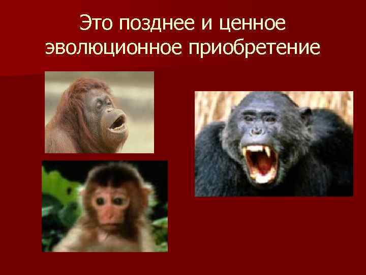 Это позднее и ценное эволюционное приобретение 