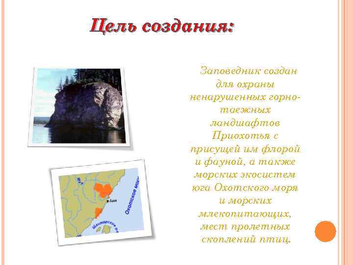 Цель создания: Заповедник создан для охраны ненарушенных горнотаежных ландшафтов Приохотья с присущей им флорой
