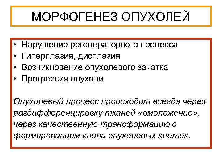 МОРФОГЕНЕЗ ОПУХОЛЕЙ • • Нарушение регенераторного процесса Гиперплазия, дисплазия Возникновение опухолевого зачатка Прогрессия опухоли
