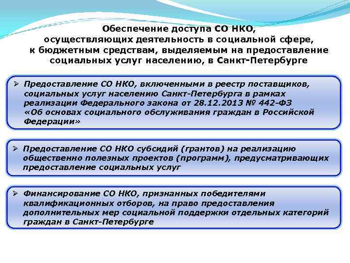Обеспечение доступа СО НКО, осуществляющих деятельность в социальной сфере, к бюджетным средствам, выделяемым на