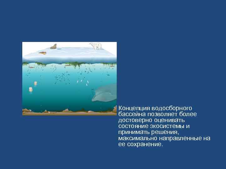  • Концепция водосборного бассейна позволяет более достоверно оценивать состояние экосистемы и принимать решения,