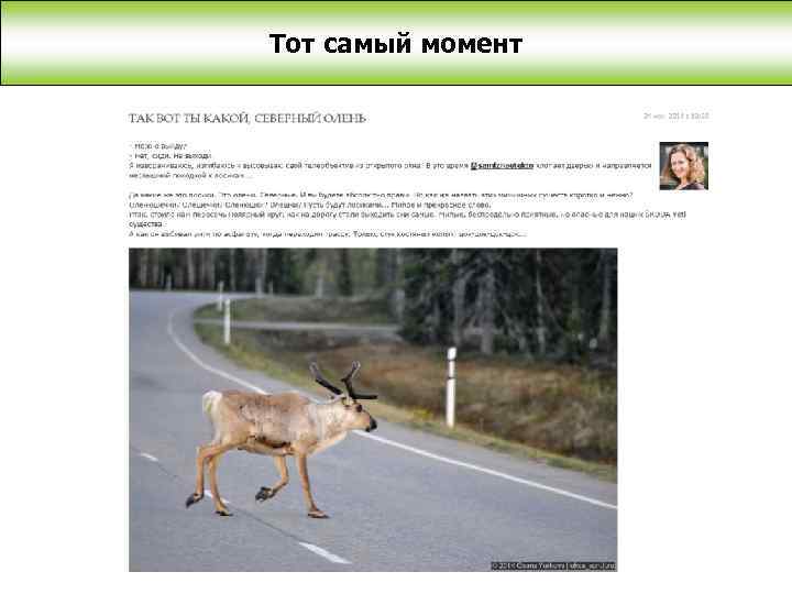 Тот самый момент 