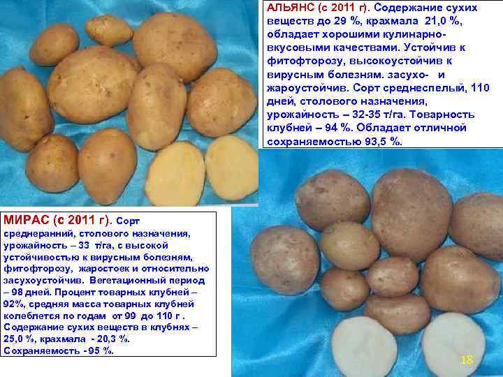 АЛЬЯНС (с 2011 г). Содержание сухих веществ до 29 %, крахмала 21, 0 %,