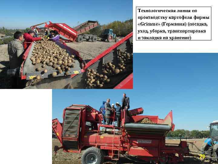 Технологическая линия по производству картофеля фирмы «Grimme» (Германия) (посадка, уход, уборка, транспортировка и закладка