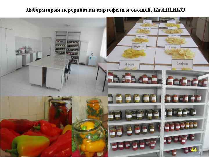 Лаборатория переработки картофеля и овощей, Каз. НИИКО 44 