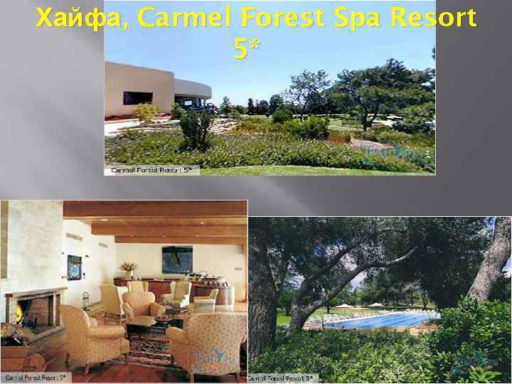 Хайфа, Carmel Forest Spa Resort 5* 