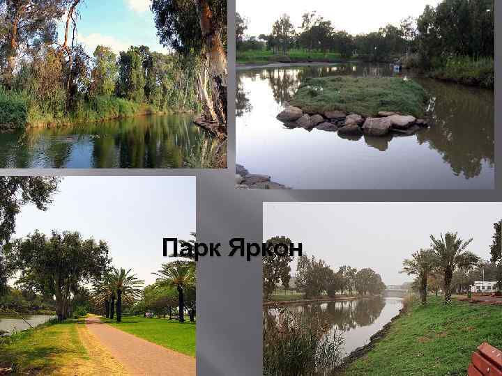 Парк Яркон 