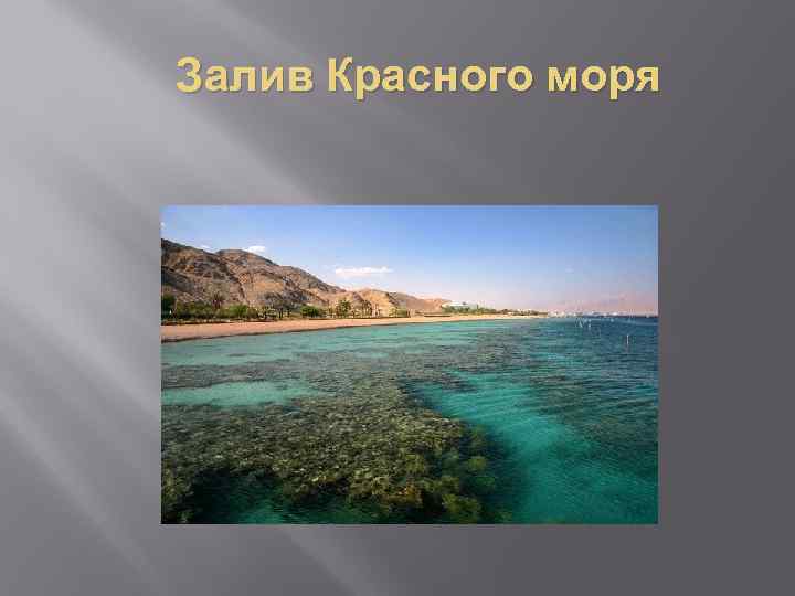 Залив Красного моря 