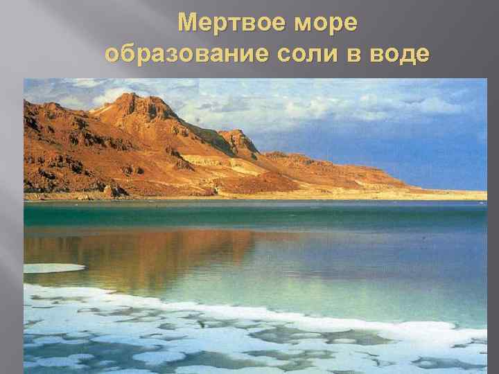 Мертвое море образование соли в воде 