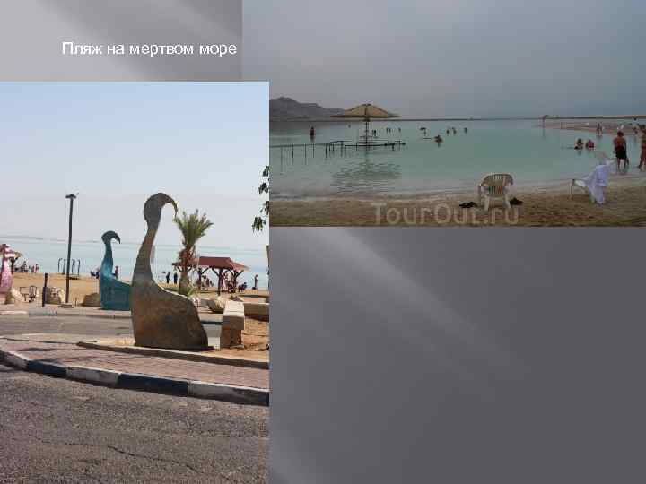 Пляж на мертвом море 