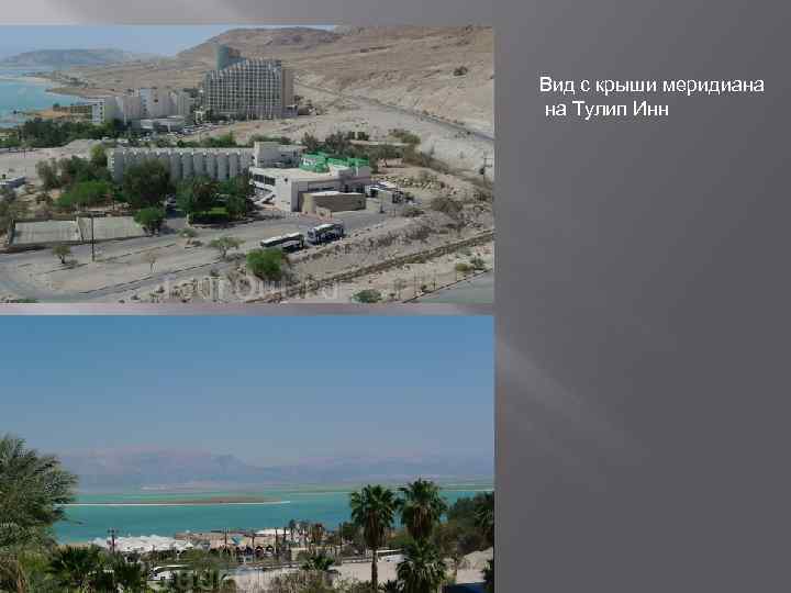 Вид с крыши меридиана на Тулип Инн 