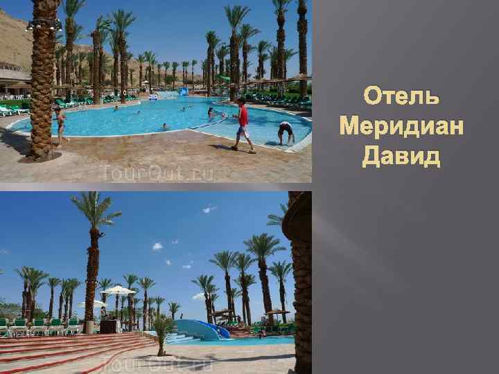 Отель Меридиан Давид 