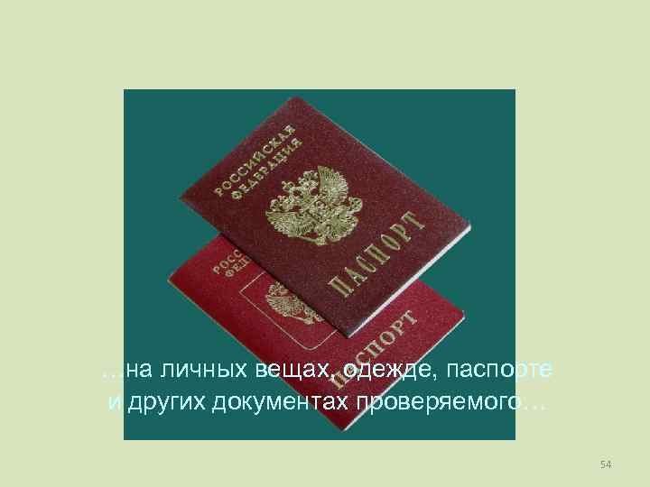 …на личных вещах, одежде, паспорте и других документах проверяемого… 54 