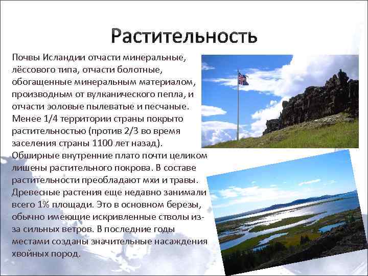 Растительность Почвы Исландии отчасти минеральные, лёссового типа, отчасти болотные, обогащенные минеральным материалом, производным от