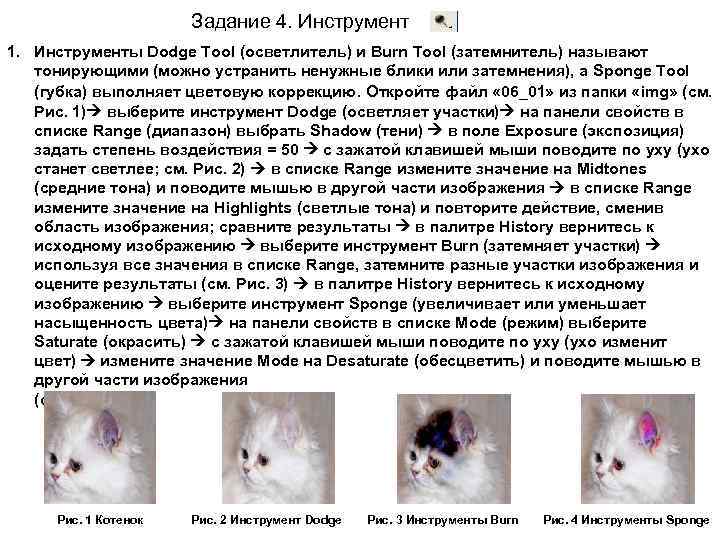 Задание 4. Инструмент 1. Инструменты Dodge Tool (осветлитель) и Burn Tool (затемнитель) называют тонирующими