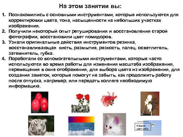 На этом занятии вы: 1. Познакомились с основными инструментами, которые используются для корректировки цвета,