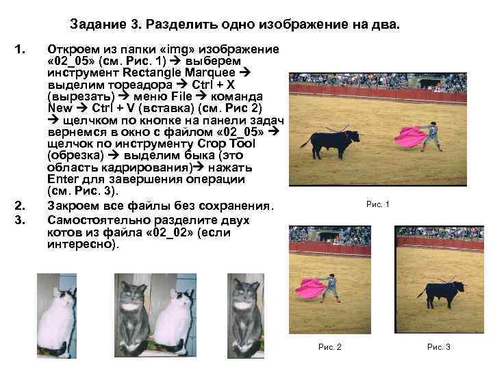 Задание 3. Разделить одно изображение на два. 1. 2. 3. Откроем из папки «img»