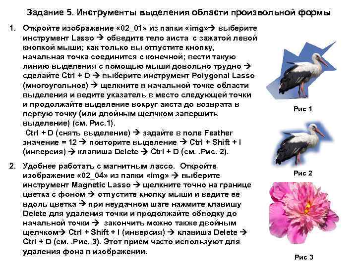 Задание 5. Инструменты выделения области произвольной формы 1. Откройте изображение « 02_01» из папки