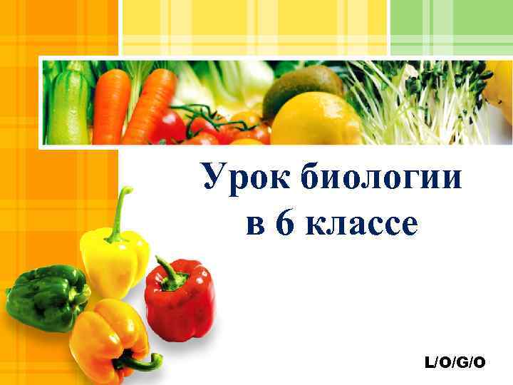 Урок биологии в 6 классе L/O/G/O 