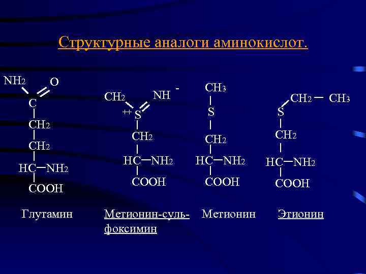 Структурные аналоги аминокислот. NH 2 O C CH 2 HC NH 2 COOH Глутамин