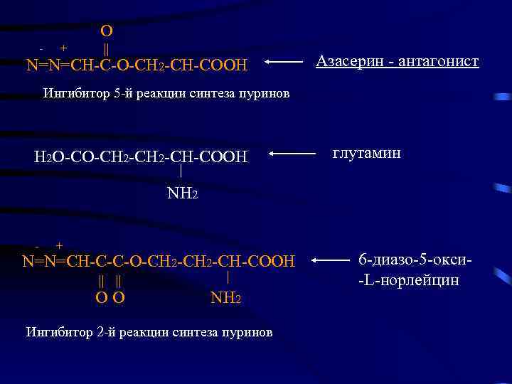 O - + || N=N=CH-C-O-CH 2 -CH-COOH Азасерин - антагонист Ингибитор 5 -й реакции