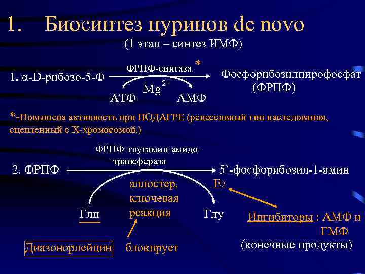 1. Биосинтез пуринов de novo (1 этап – синтез ИМФ) ФРПФ-синтаза 1. α-D-рибозо-5 -Ф