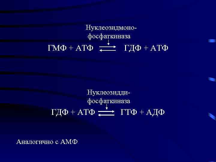 Нуклеозидмонофосфаткиназа ГМФ + АТФ ГДФ + АТФ Нуклеозиддифосфаткиназа ГДФ + АТФ Аналогично с АМФ
