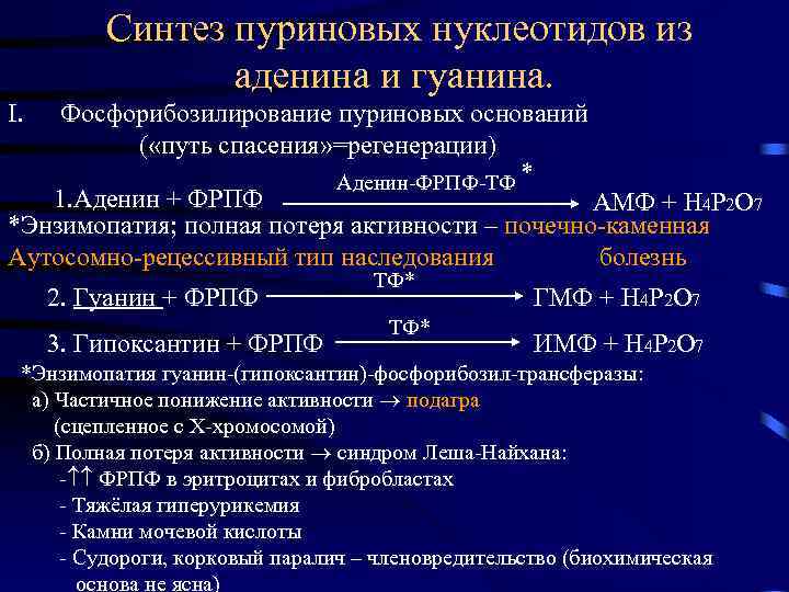 Синтез пуриновых нуклеотидов из аденина и гуанина. I. Фосфорибозилирование пуриновых оснований ( «путь спасения»