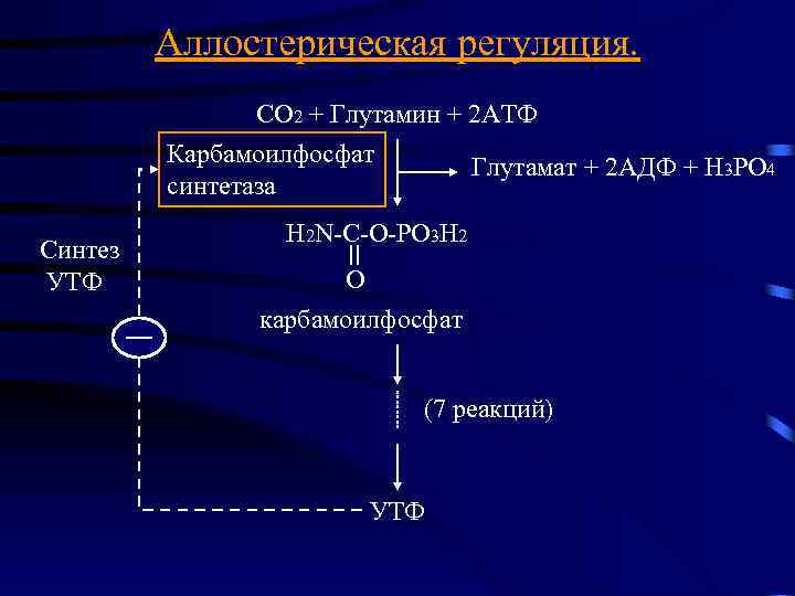 Аллостерическая регуляция. СО 2 + Глутамин + 2 АТФ Карбамоилфосфат Глутамат + 2 АДФ